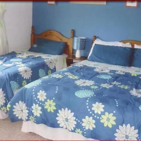 The Yellow Rose B&B Belderg ภายนอก รูปภาพ