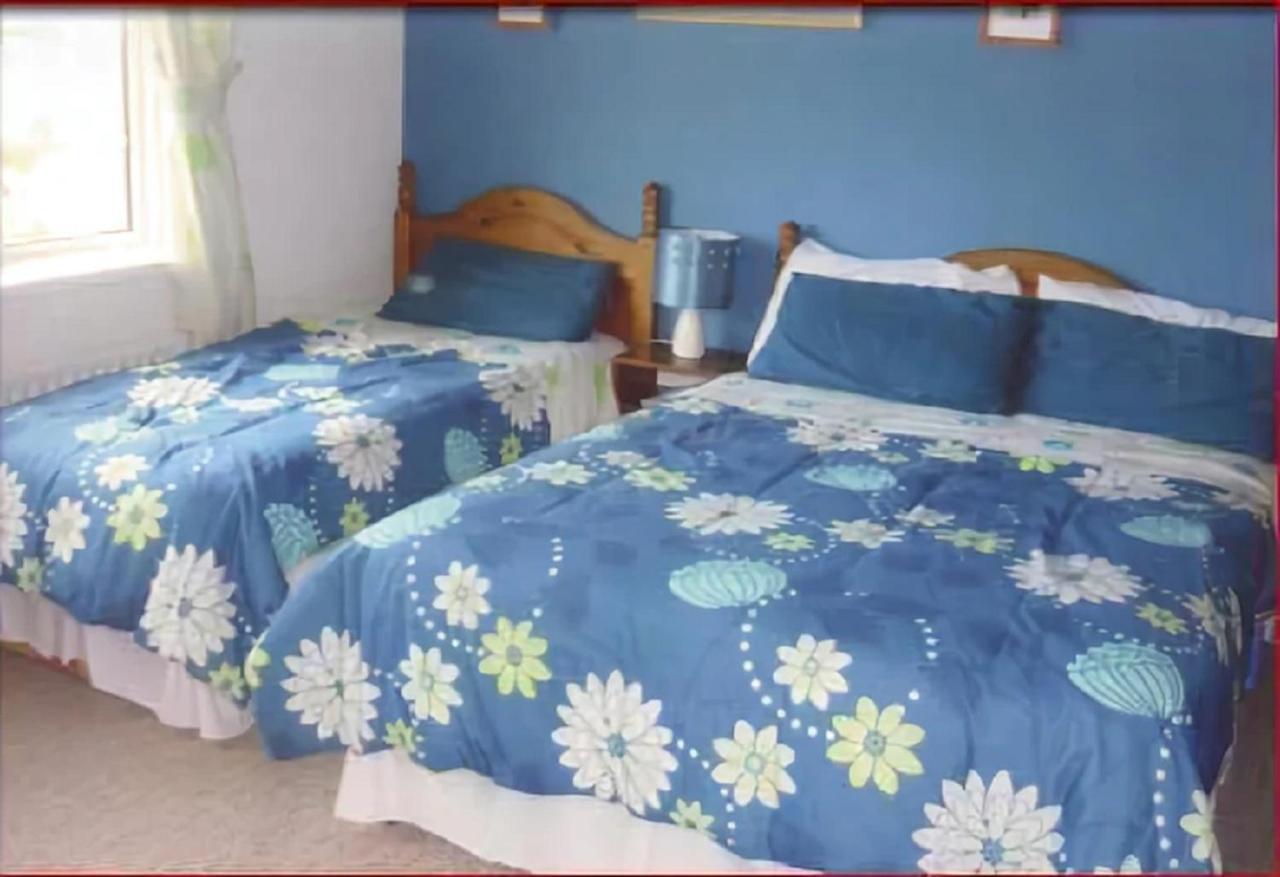 The Yellow Rose B&B Belderg ภายนอก รูปภาพ
